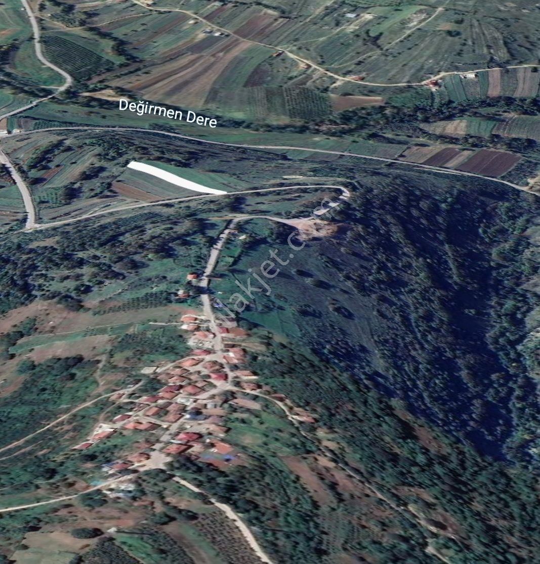 Kocaeli Kandıra Kubuzcu Asfalt Yola Cephe - Görsel 4