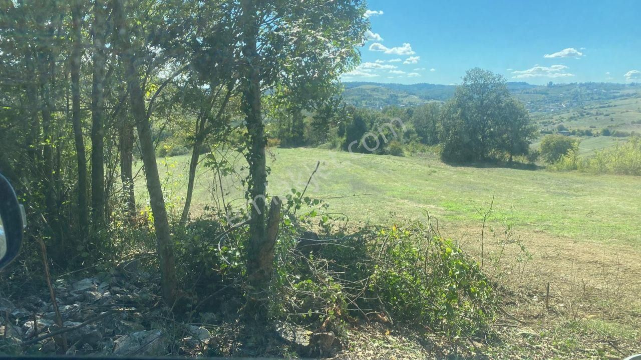 Kocaeli Kandıra Kubuzcu Asfalt Yola Cephe - Görsel 9