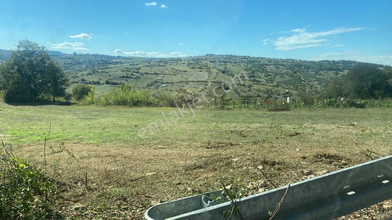 Kandıra Kubuzcu Satılık Tarla KOCAELİ KANDIRA KUBUZCU ASFALT YOLA CEPHE 