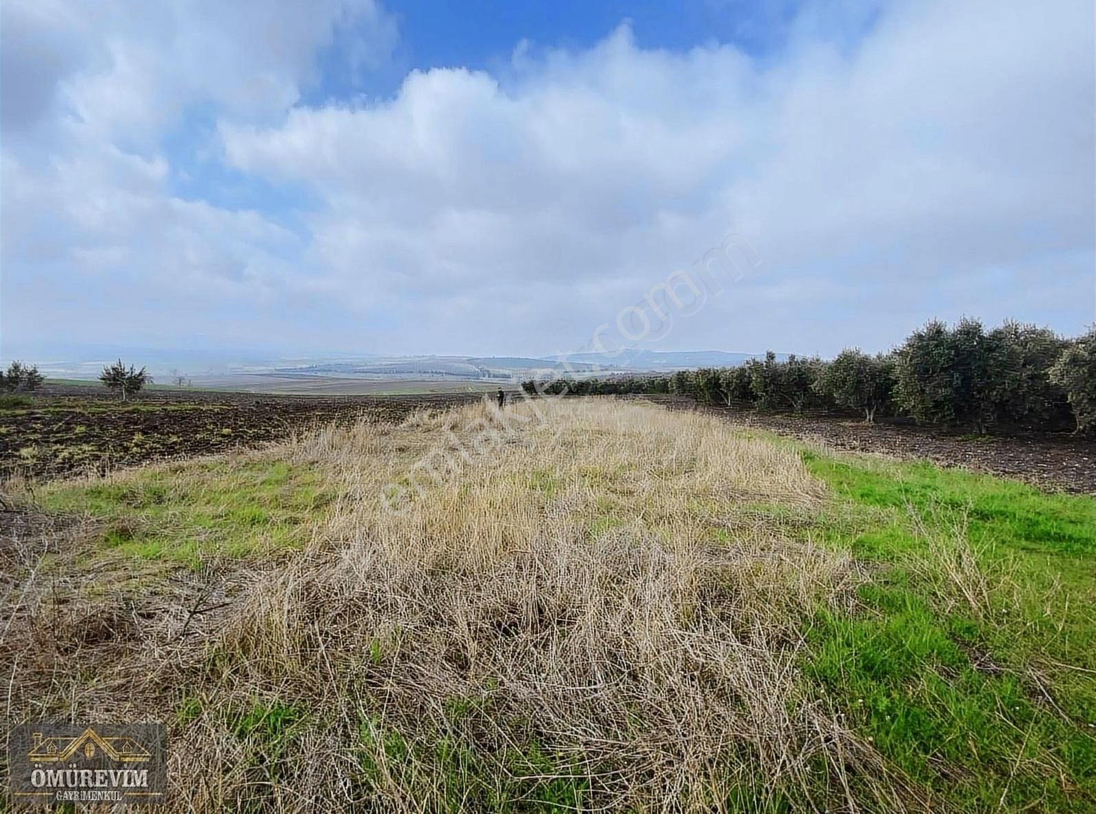 Gönen Büyüksoğuklar Satılık Tarla Ömürevimden Satılık Köy Civarı 392 M2 Arsa