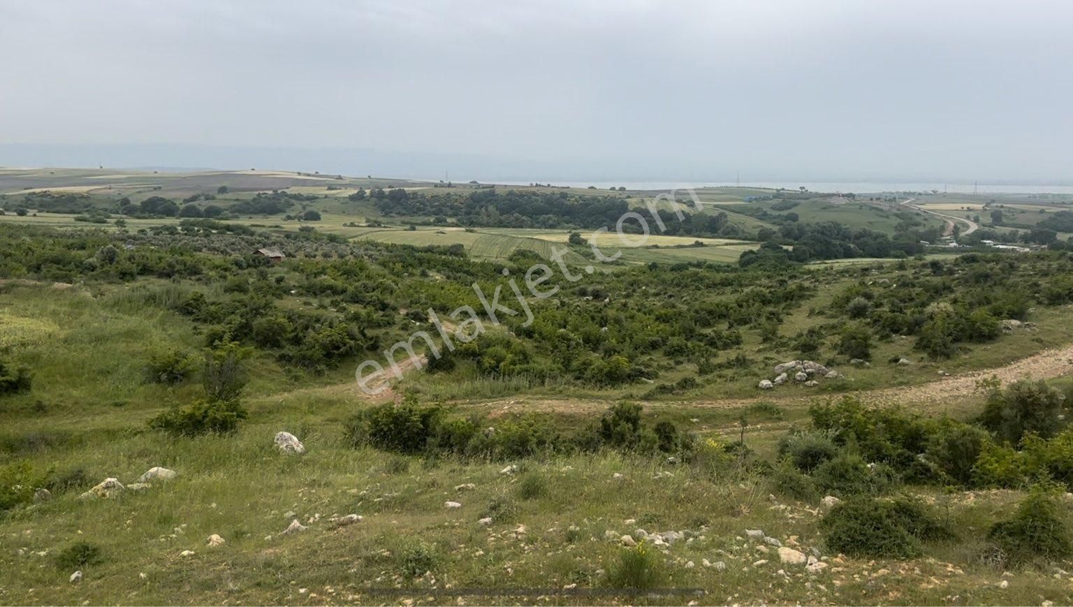 Subaşında Yapı Kayıtlı 14.700 M2 Manzaralı Tarla