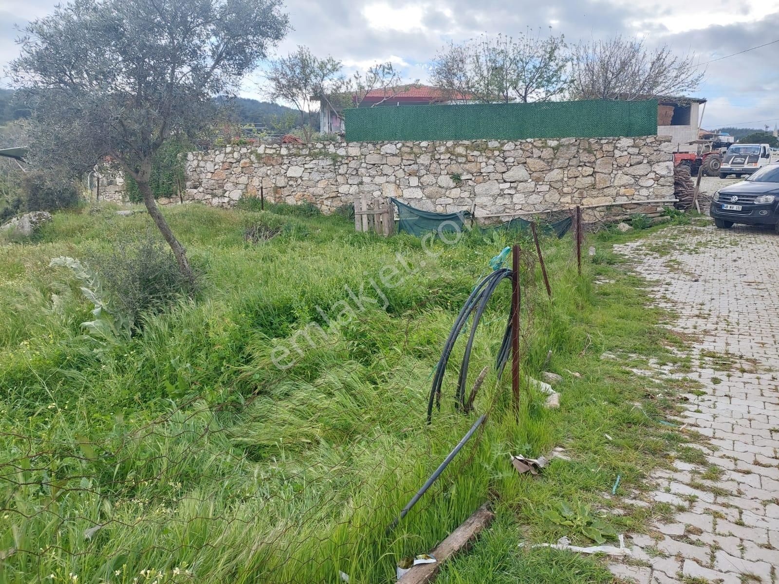 Milas Çamlıyurt Satılık Tarla  Milasta satılık köy içi imarlı arsa