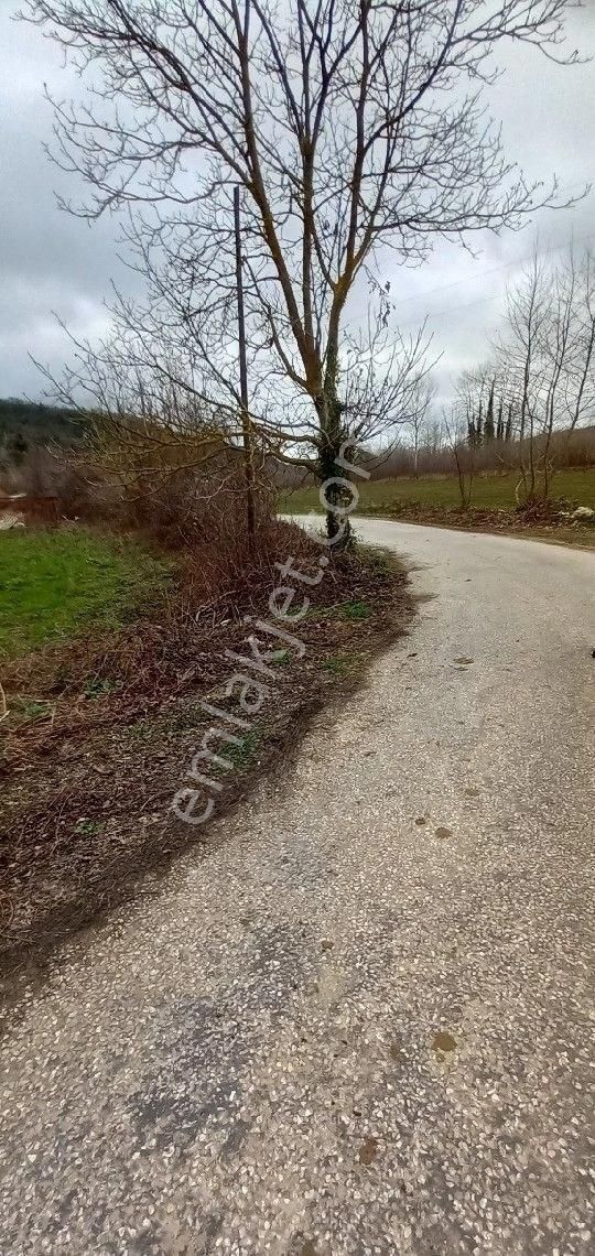 Sinop Merkez Şamlıoğlu Köyü (Ekşioğlu) Satılık Konut İmarlı Sinop Kabalı Şamlıoğlu Köyün de Atalay Emlak tan Satılık Konut İmarlı Satılık Arsa