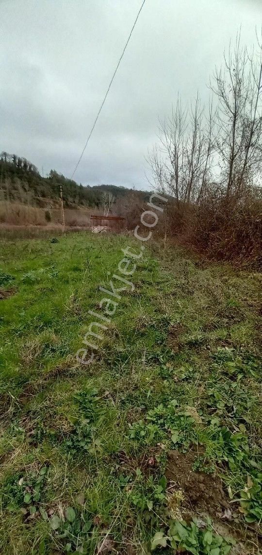 Sinop Merkez Şamlıoğlu Köyü (Ekşioğlu) Satılık Konut İmarlı Sinop Kabalı Şamlıoglu Köyünde Atalay Emlak tan Parselli Ev Yapımına Uygun Satılık Arsa