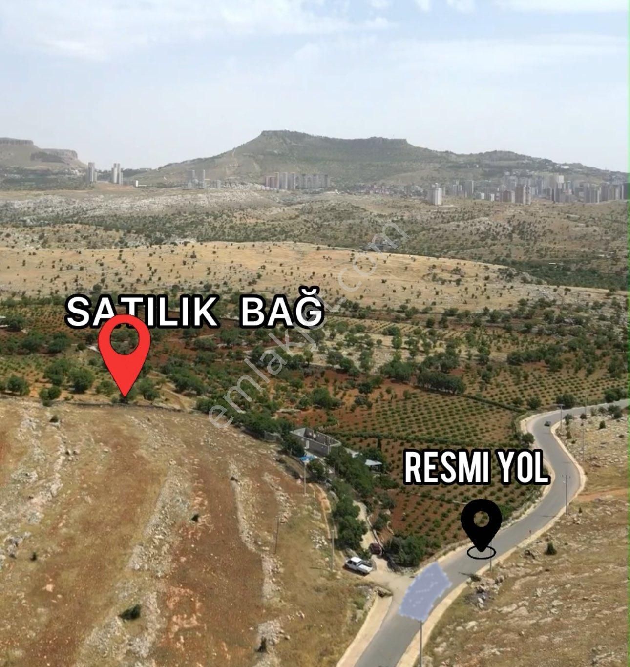 Artuklu Yalım Satılık Bağ & Bahçe VİLLALAR BÖLGESİNDE SATILIK BAHÇE ŞEHRE 2 KM UZAKLIKTA 