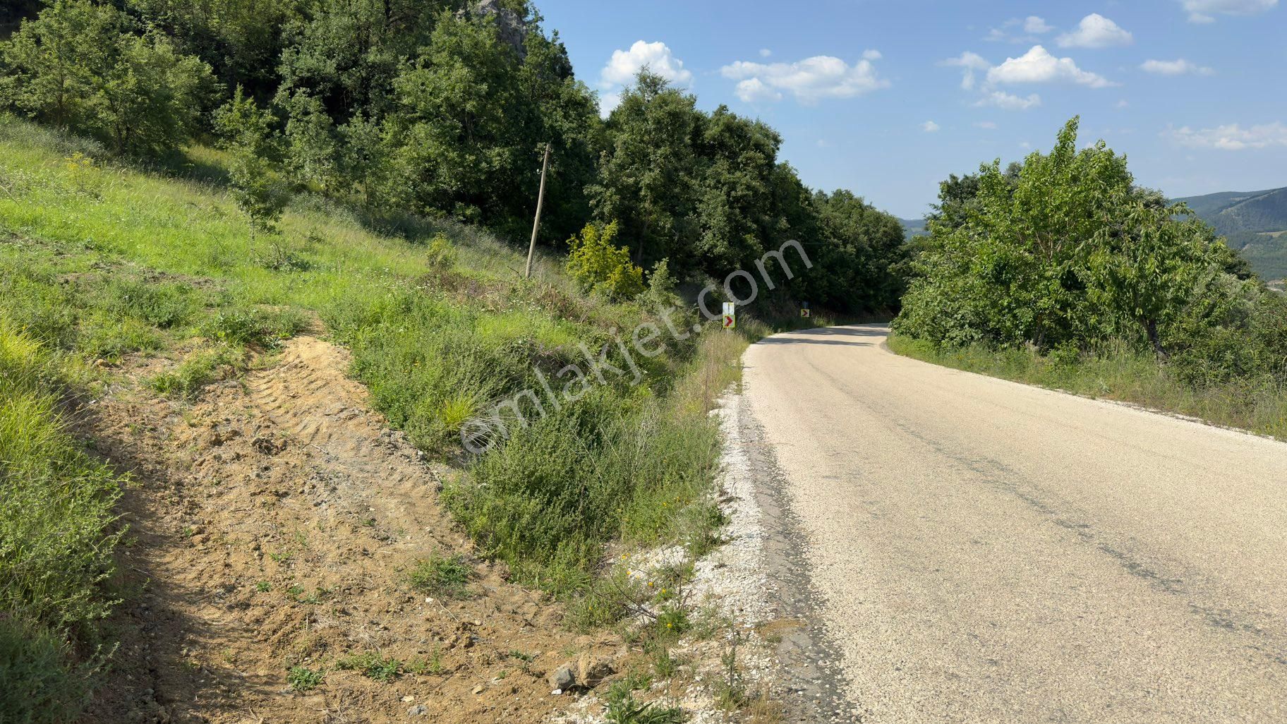 Bursa Mustafakemalpaşa Alpağut Mahallesi 5.125 M2 Satılık Tarla - Görsel 4
