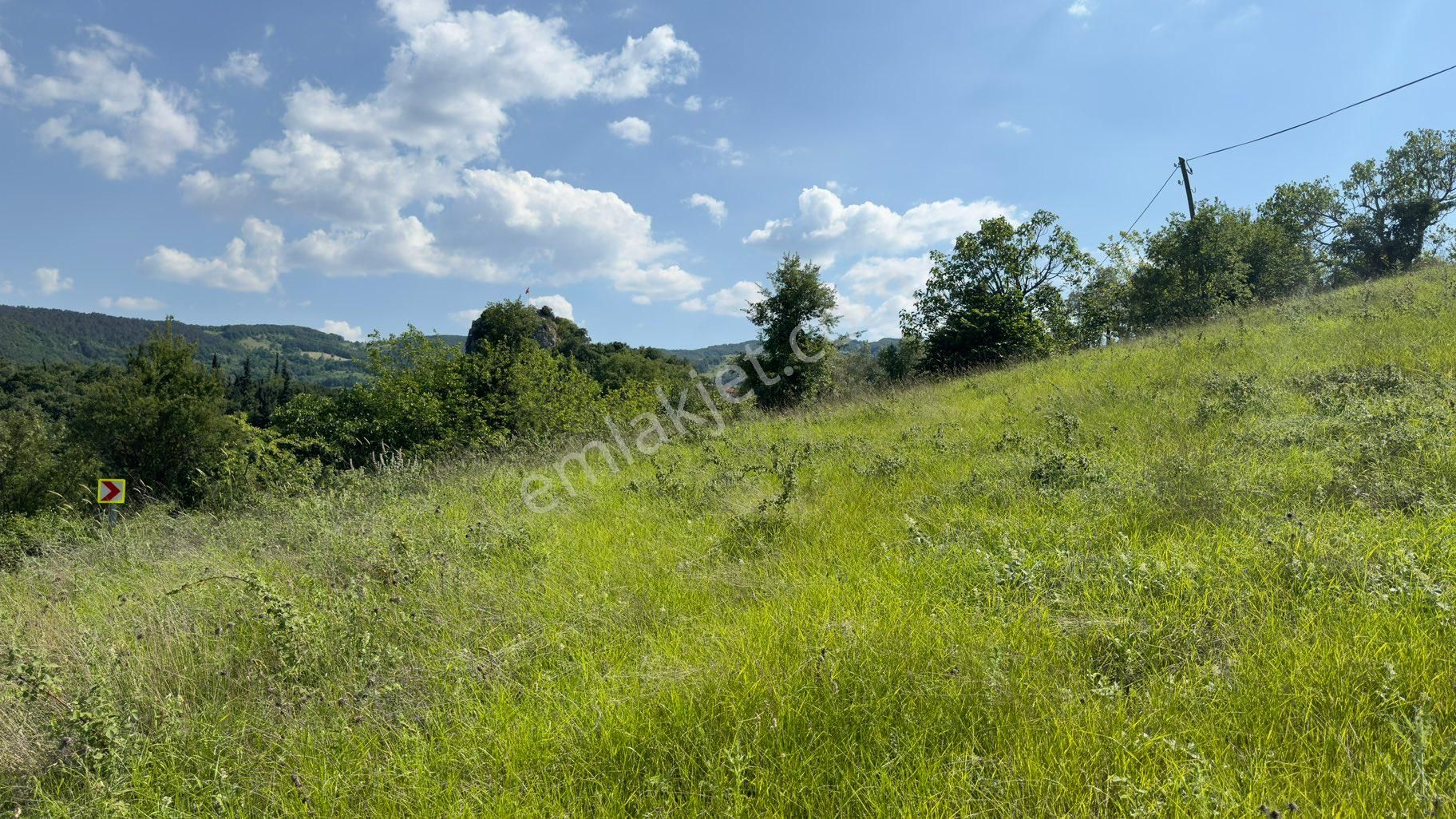 Bursa Mustafakemalpaşa Alpağut Mahallesi 5.125 M2 Satılık Tarla - Görsel 9