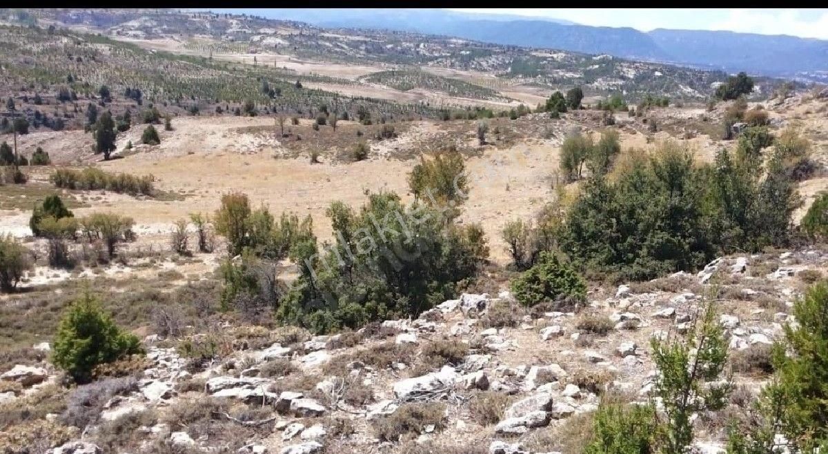 Bozyazı Elmakuzu Satılık Tarla BOZYAZI ELMAKUZU  DA SATILIK MÜSTAKİL TARLA