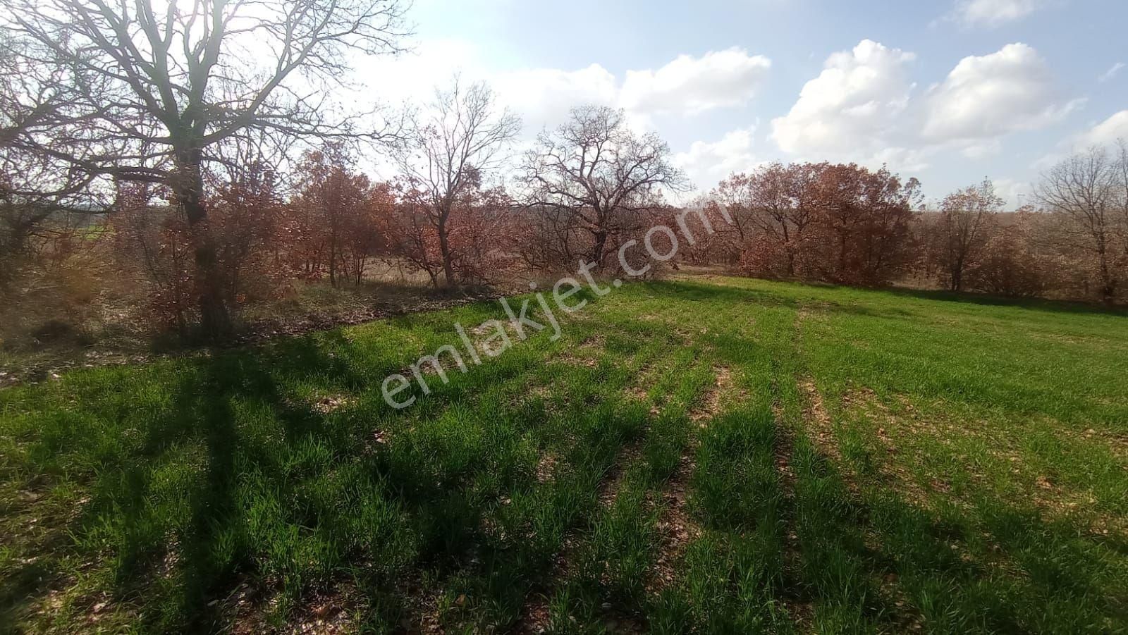 Lüleburgaz Celaliye Köyü Satılık Bağ & Bahçe satılık arsa