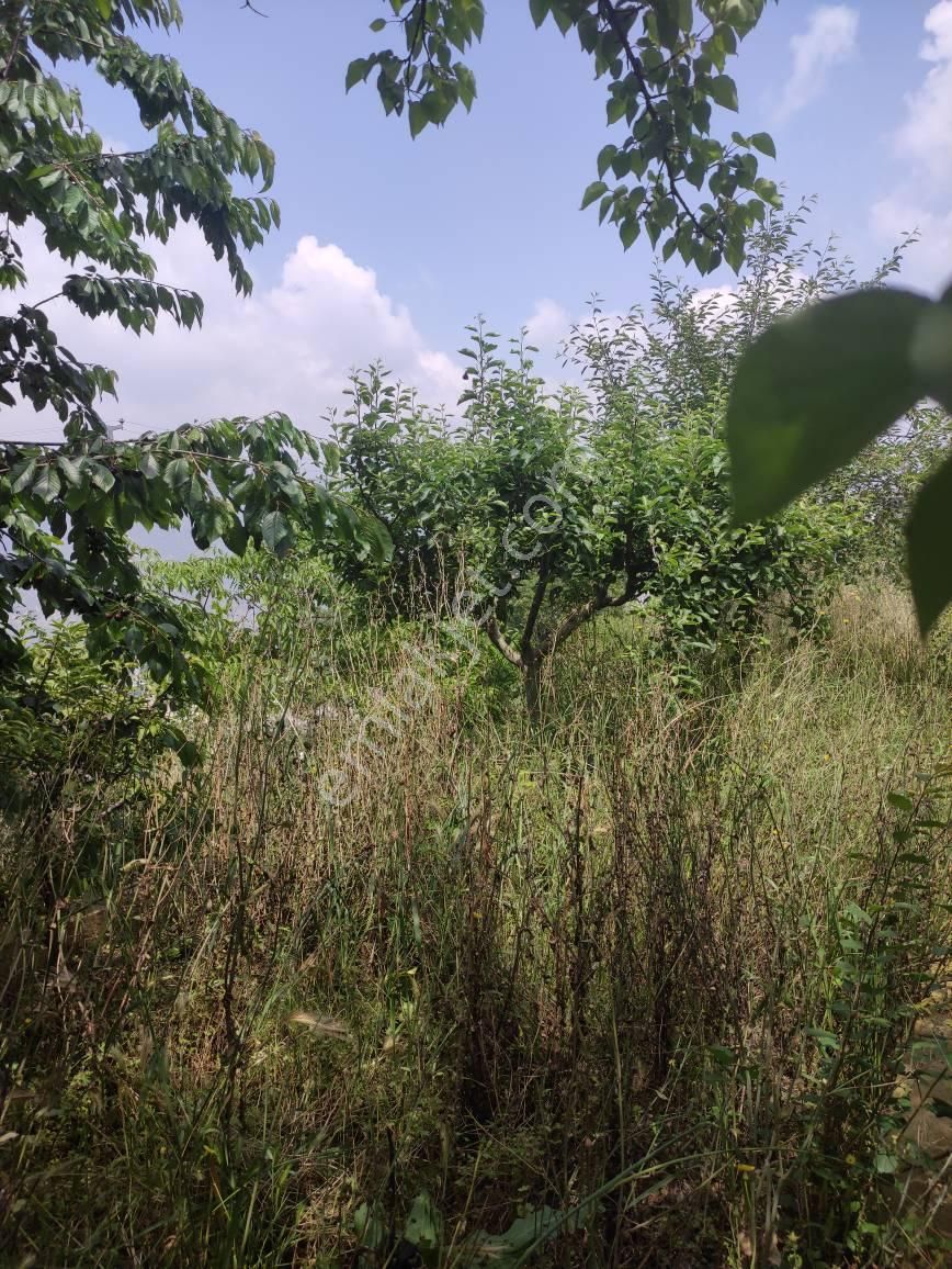 Müstakil Bahçeli Yayla Evi - Görsel 24