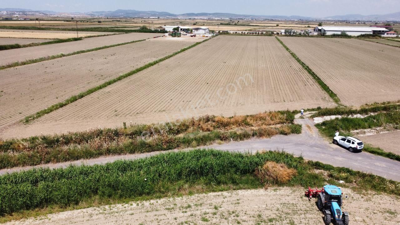 Menemen 85. Yıl Cumhuriyet Satılık Tarla SEYREK 18.497M2 YÜKSEK VERİMLİ TARIM ARAZİSİ