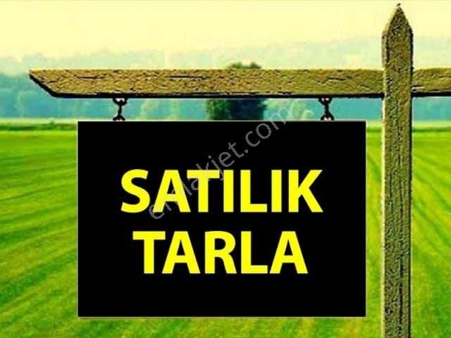 Karaisalı Bekirli Satılık Tarla KARAİSALI BEKİRLİ CAZİP TARLA