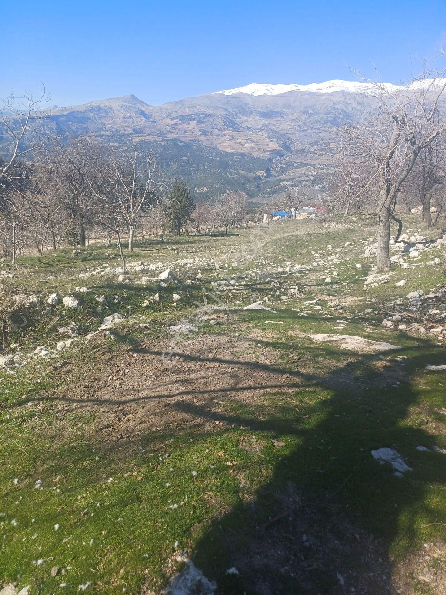 Dulkadiroğlu Bahçeli Satılık Tarla PANORAMAVİ DEN MUHTEŞEM BAĞ YERI VE EVİ 