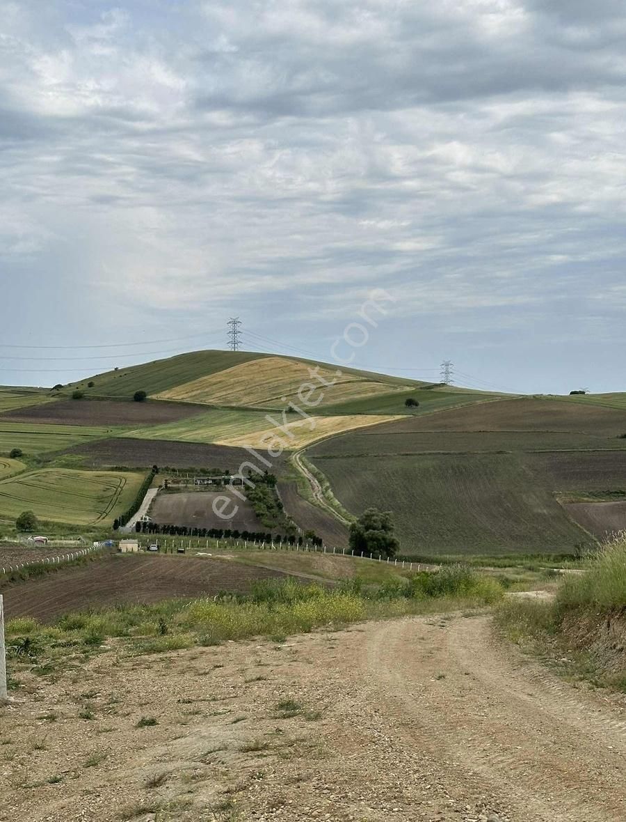 Takasa Uygun Yola Cephe 387 M2 - Görsel 3
