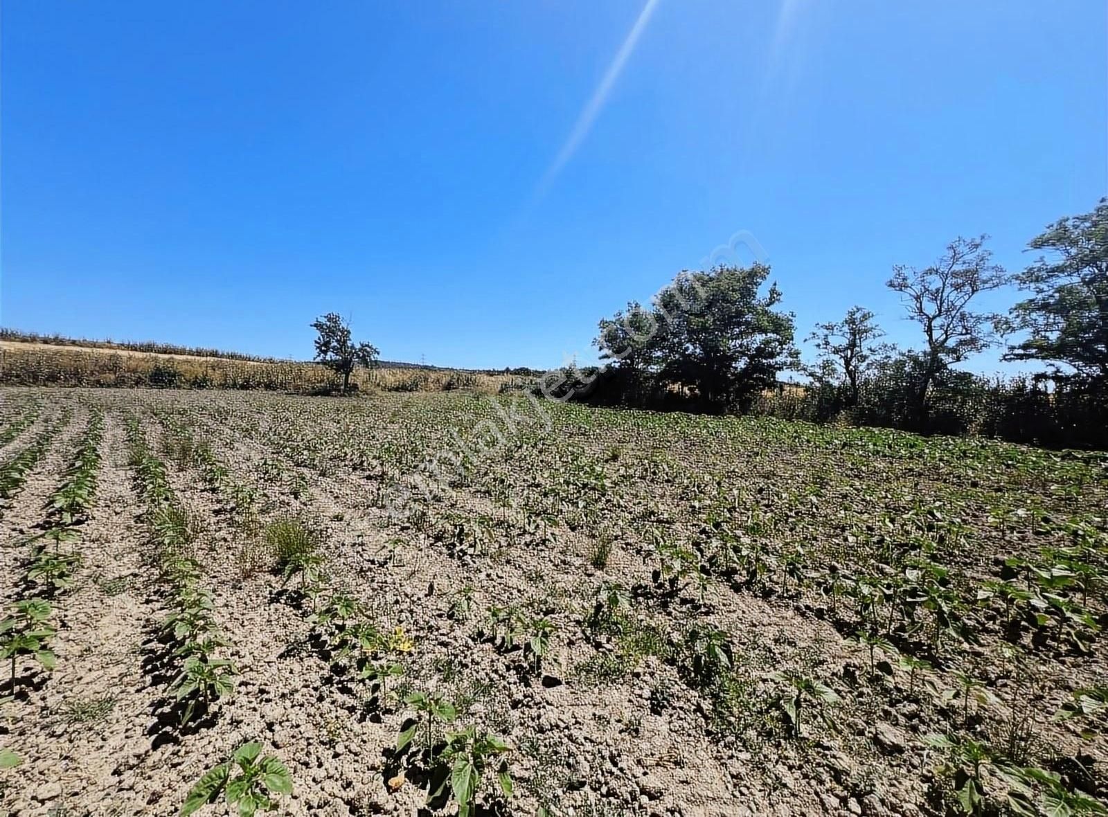 362 M2 Bu Fiyata Başka Yerde Yok Göle Yakın Yeri Belli - Görsel 7