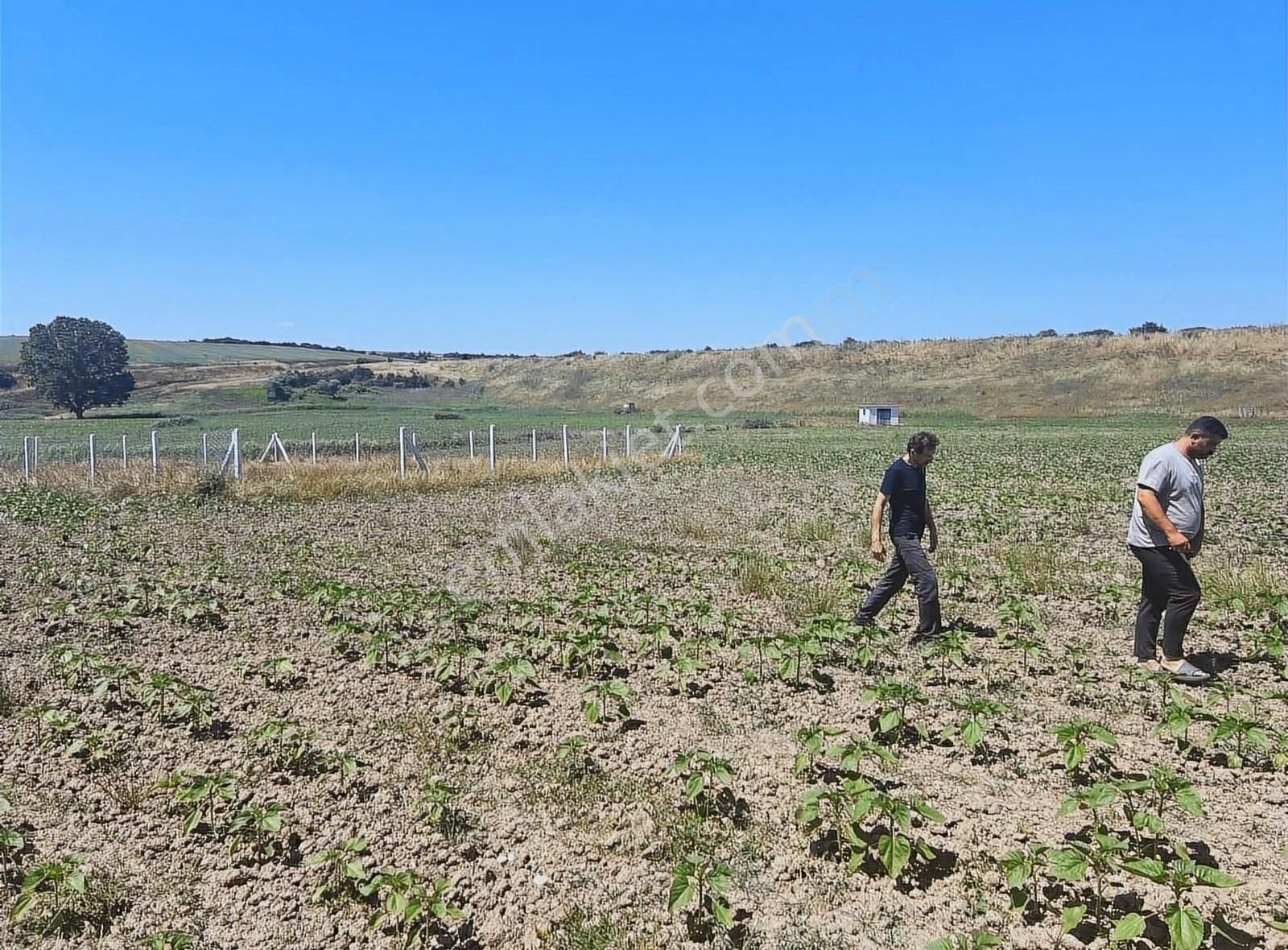 Silivri Değirmenköy İsmetpaşa Satılık Tarla 362 M2 Bu Fiyata Başka Yerde Yok Göle Yakın Yeri Belli