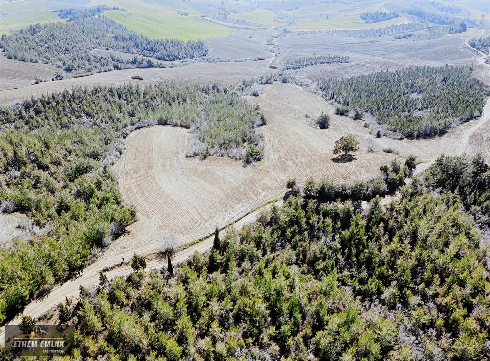 Karaisalı Çakallı Satılık Tarla KARAİSALI ÇAKALLI'DA SATLIK ARAZİ