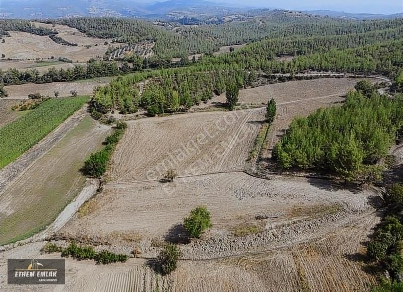 Karaisalı Gökhasanlı Satılık Tarla adana karaisalı gökhasanlı köyü satılık arsa