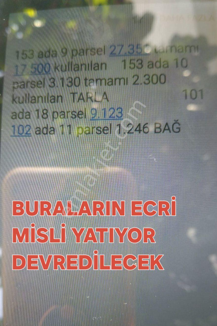 Çıtırık'tan Ayaş Şeyhmuhittin Mh.su Elektirik Aboneliği Bağ Evi - Görsel 35