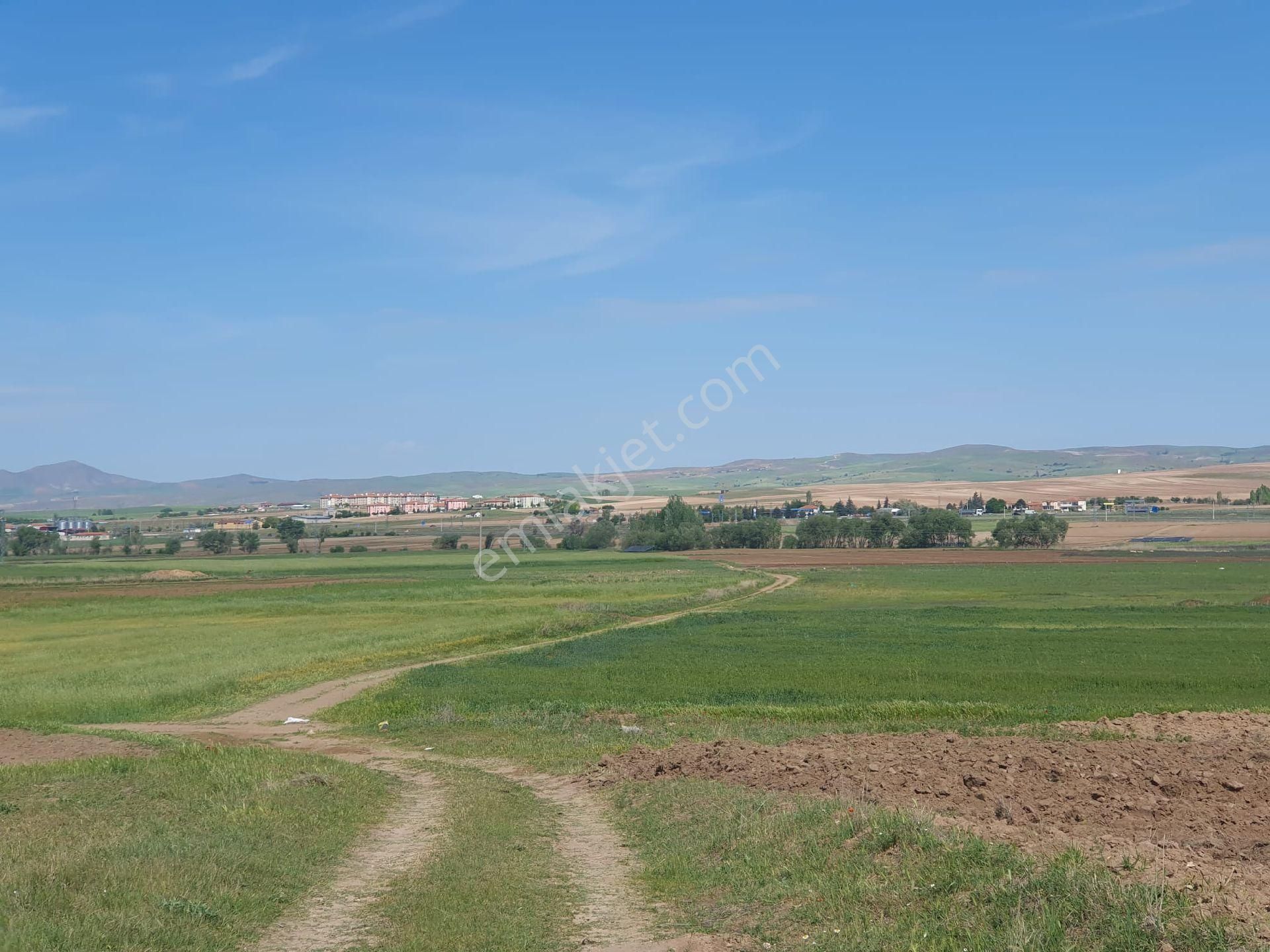 Balışeyh Beyobası Köyü Satılık Konut İmarlı  KIRIKKALE BALIŞEYH BEYOBASINDA VİLLA İMARLI ARSA