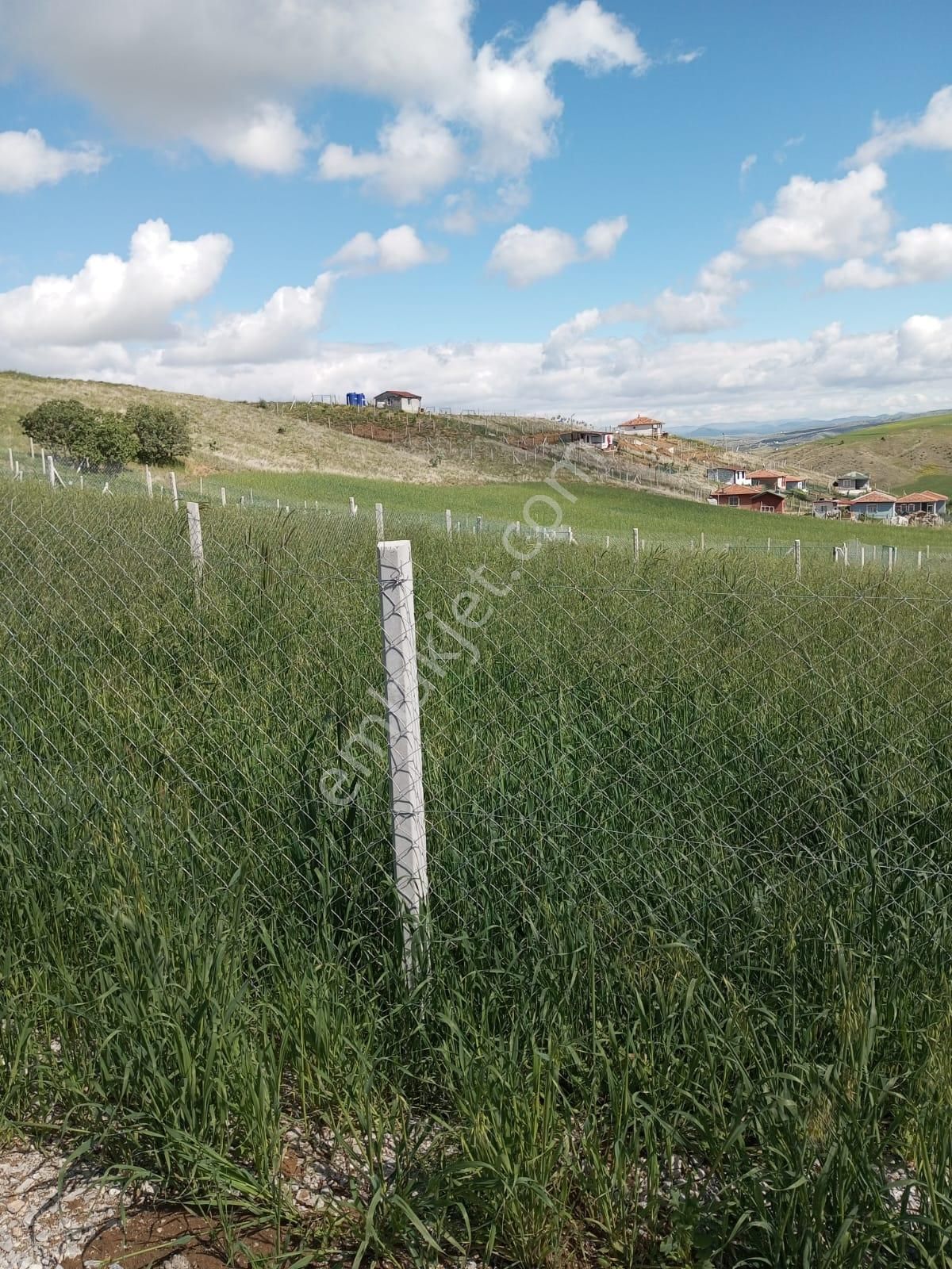 Akyurt Yıldırım Satılık Bağ & Bahçe Akyurt Yıldırım Mah. 260m2 Telle Çevrili Hobi Bahçesi