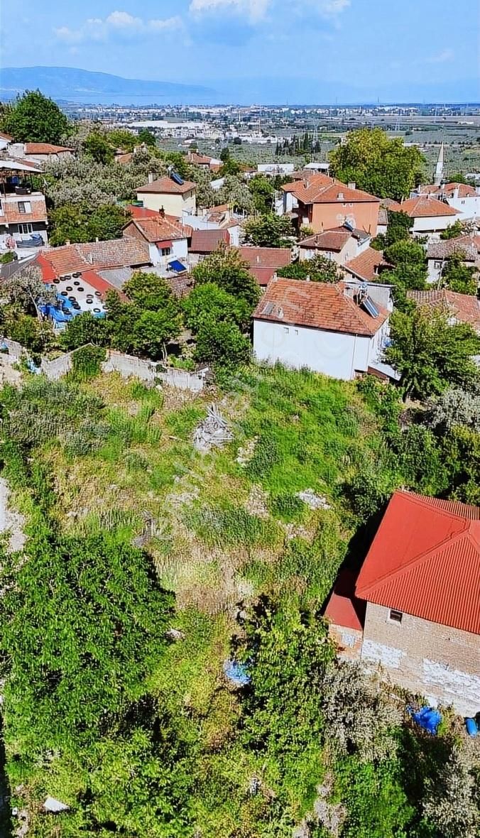 Orhangazi Çeltikçi Satılık Villa İmarlı İMARLI ARSAMIZ SATIŞTA BU PARAYA YOK