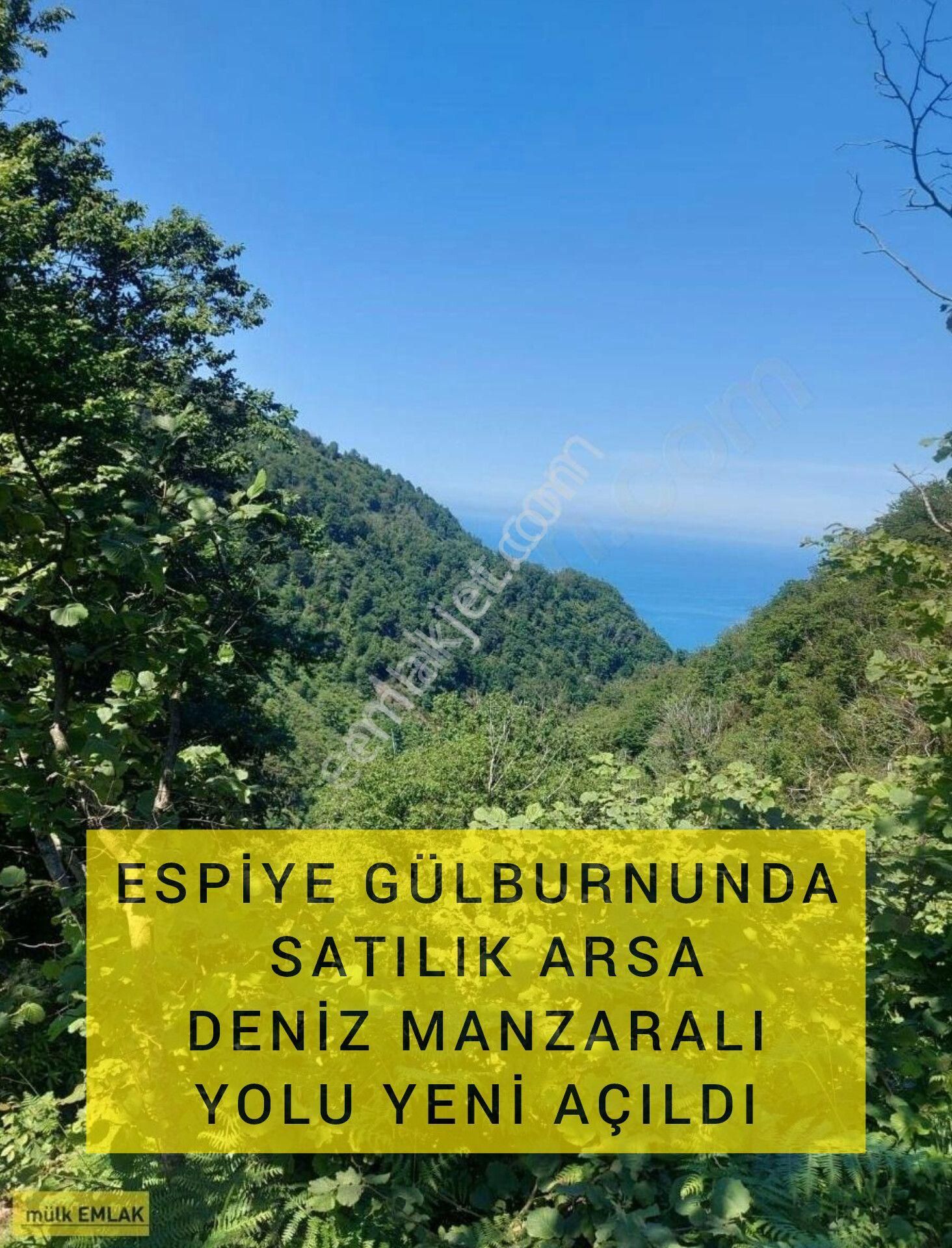 Espiye Gülburnu Köyü (Yeni) Satılık Villa İmarlı ( 15 ) Espiye Gülburnunda Satılık Arsa Deniz Manzaralı Yolu Yeni Açıldı