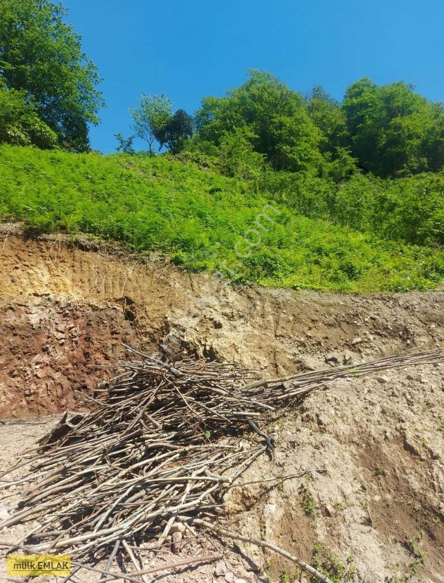 ( 15 ) Espiye Gülburnunda Satılık Arsa Deniz Manzaralı Yolu Yeni Açıldı - Görsel 5