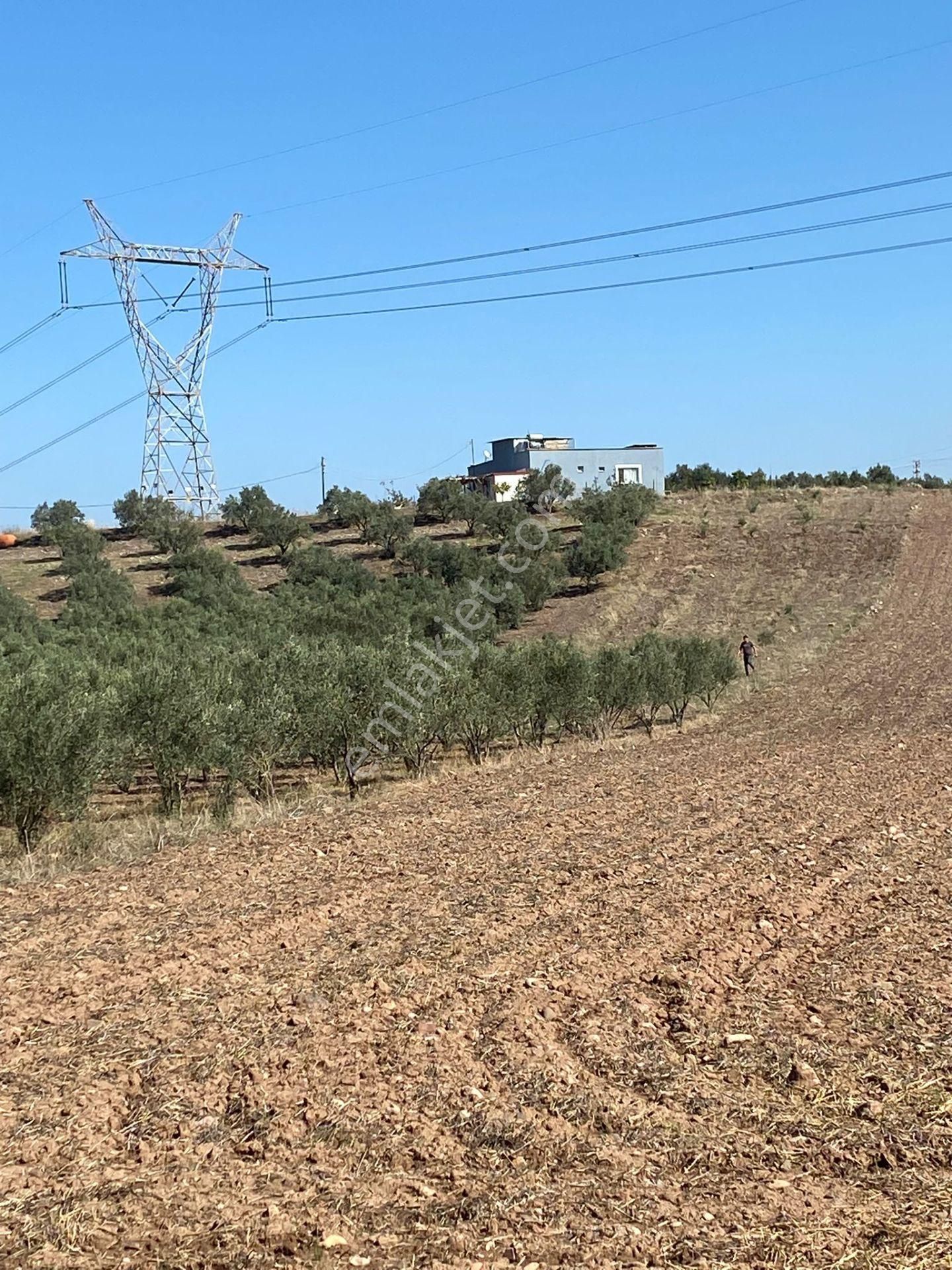 Osmaniye Merkez Akyar Köyü (Merkez) Satılık Konut İmarlı  POLİS EVİ KARŞISI SATILIK ARSA