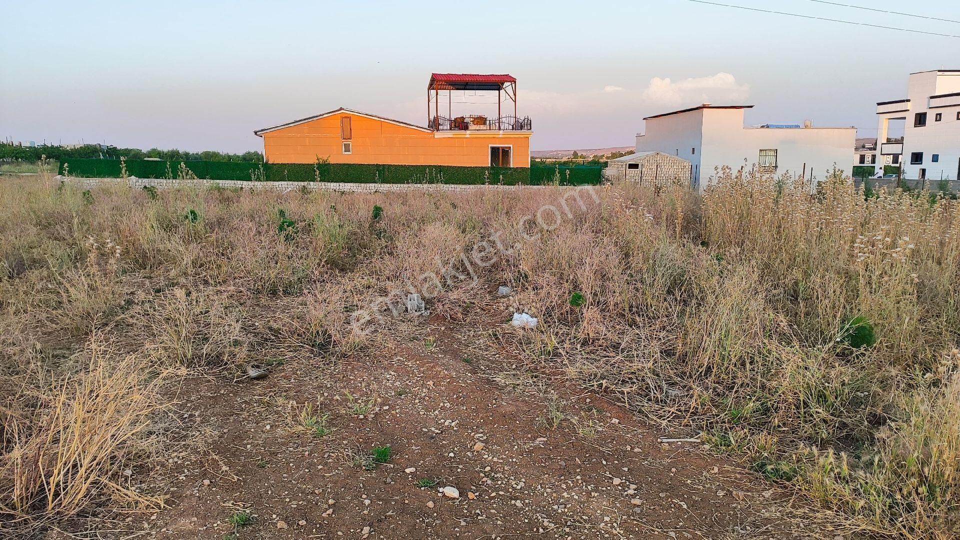 Karaköprü Büyük Akziyaret Satılık Tarla KURULUŞ GAYRİMENKULDEN SATILIK BAĞ EVİNE UYGUN TARLA TOPLAM 1 DÖNÜM 