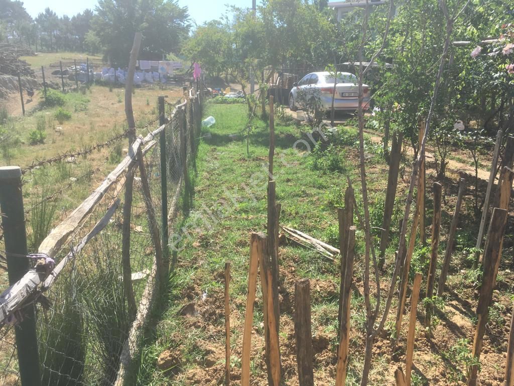 Era Meta'dan Şile'de 356 M2 Bahçeli Satılık Müstakil Ev - Görsel 9