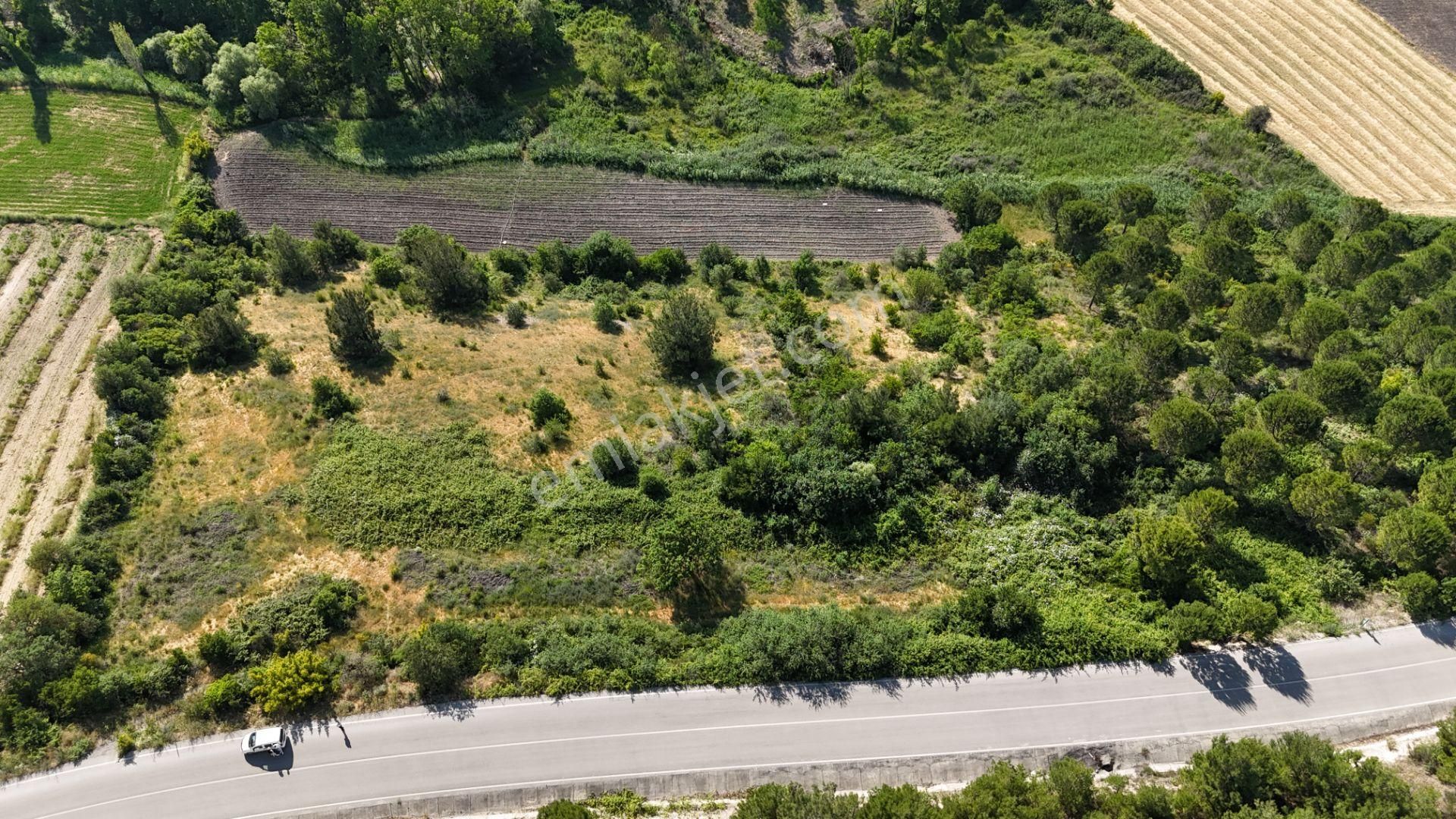 Altıeylül Türkali Satılık Tarla Rookzbalşehir'den Balıkesir Altıeylül Türkali Satılık Tarla