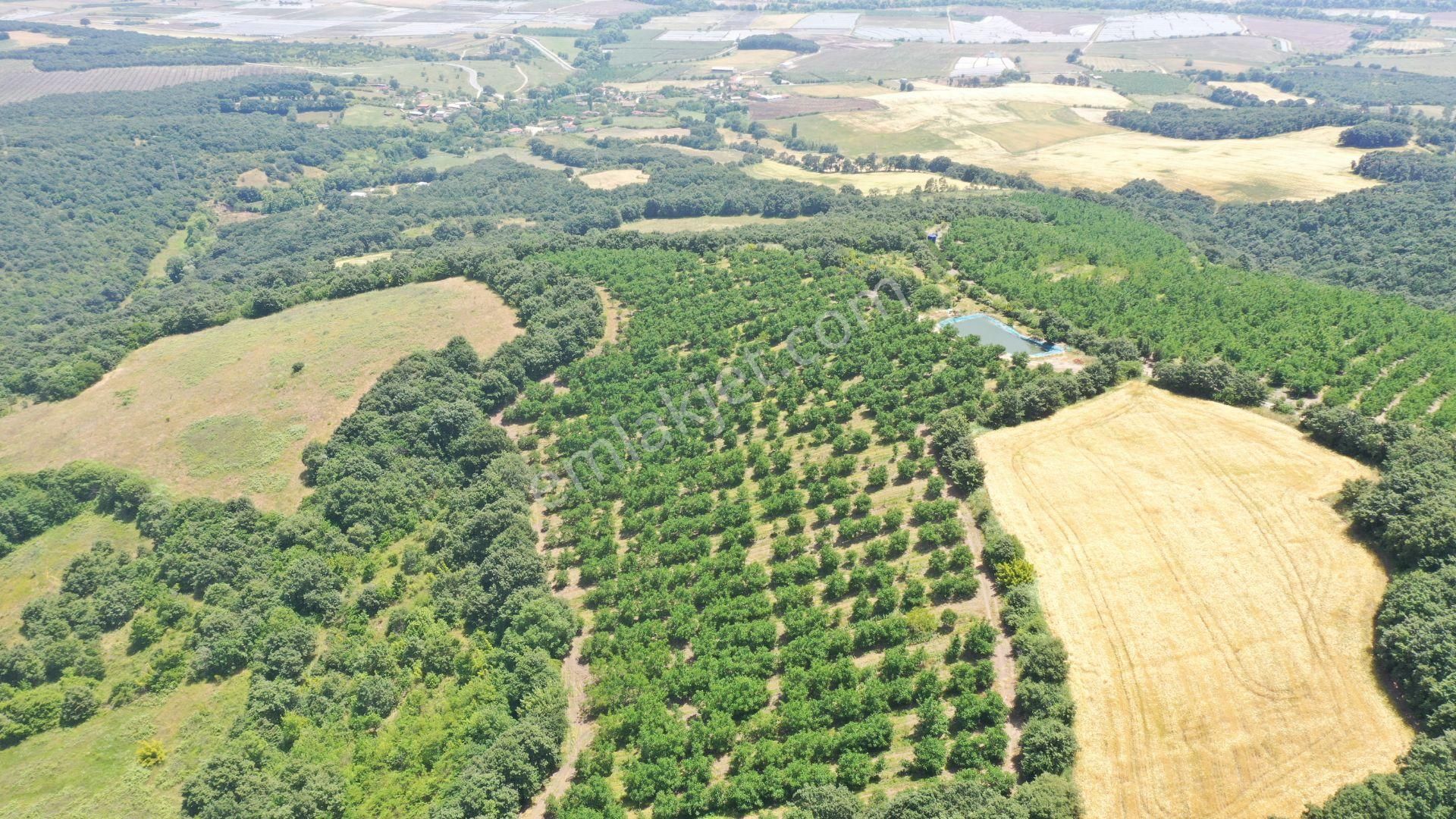 Biga Sinekçi Köyü Satılık Tarla  ÇANAKKALE BİGA SİNEKÇİ 3.585 M2 SATILIK YATIRIMLIK TARLA