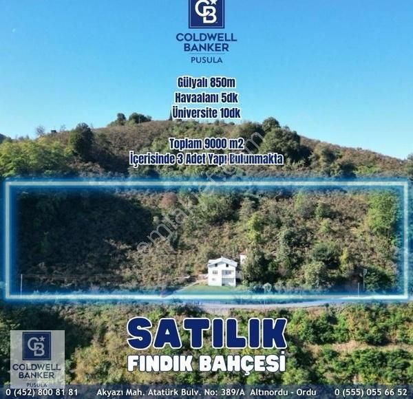 Gülyalı Ürümbey Satılık Bağ & Bahçe Ordu Gülyalı Havaalanı -Deniz Manzaralı fındık bahçesi