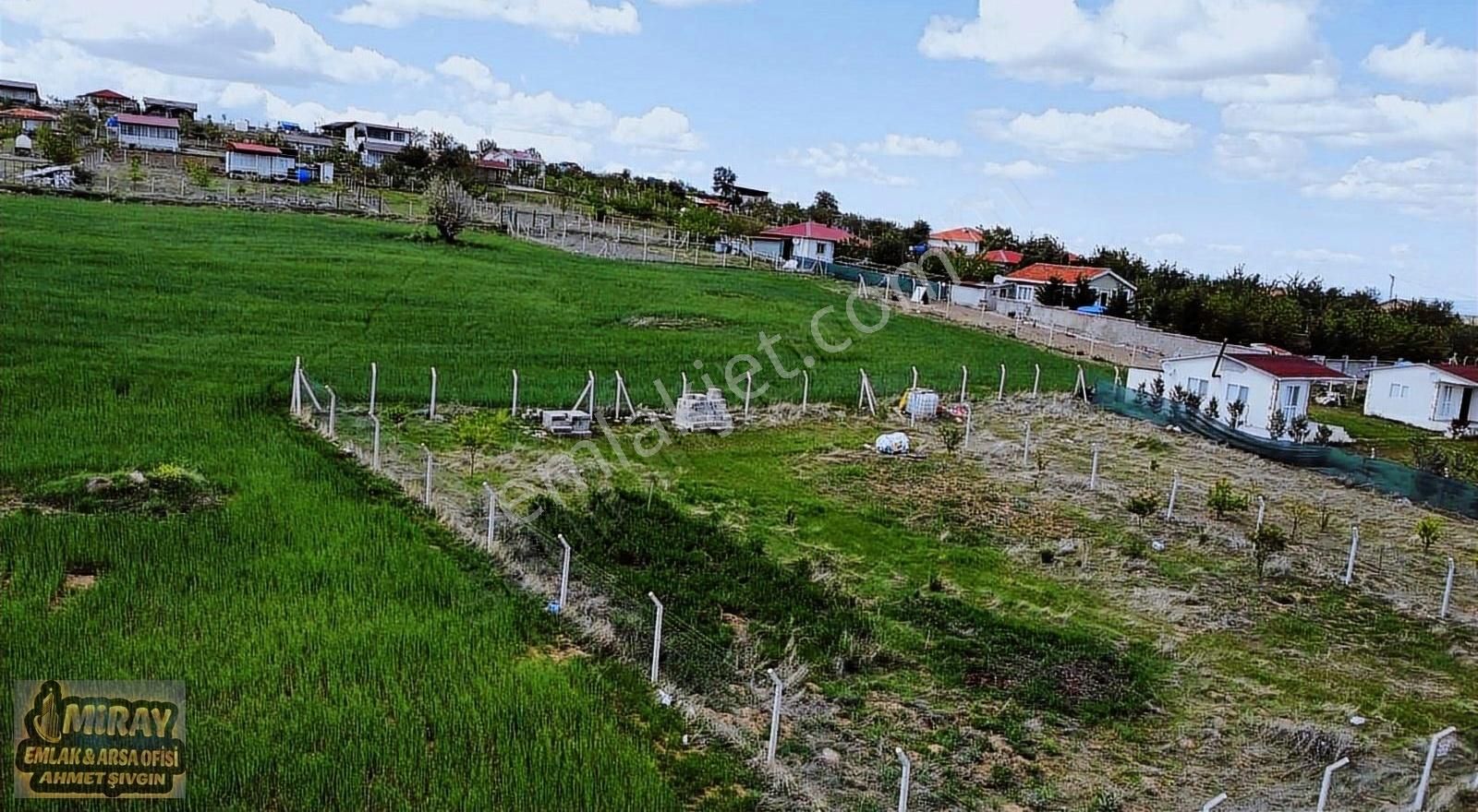 Altındağ Tatlar Satılık Tarla SAKIZAGACIN DA HALI GİBİ DÜZLÜKTE İSTER KOPARATİFLİK İSTER BAHÇE