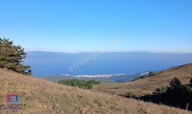 Mudanya Çepni Satılık Tarla Mudanya Çepni Harika Deniz Manzaralı Satılık Tarla