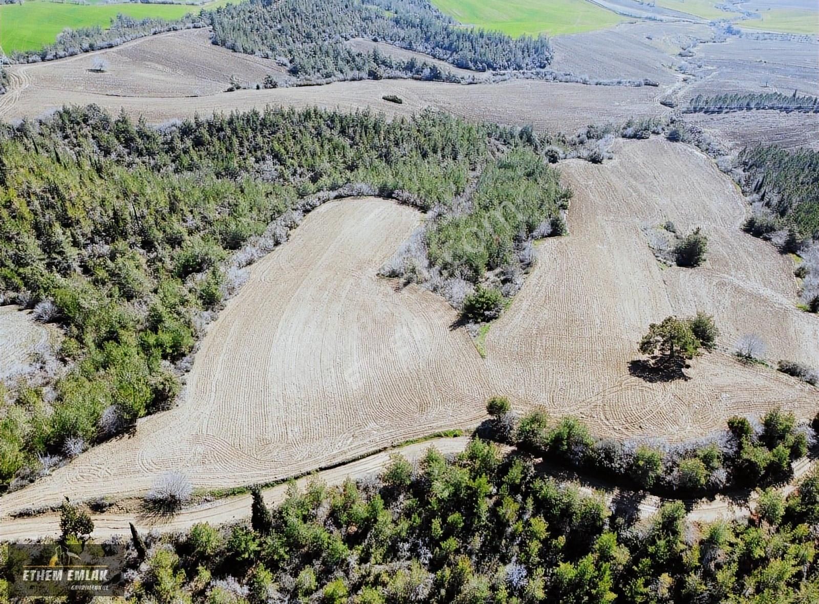 Karaisalı Çakallı Satılık Tarla KARAİSALI ÇAKALLI'DA SATLIK ARAZİ