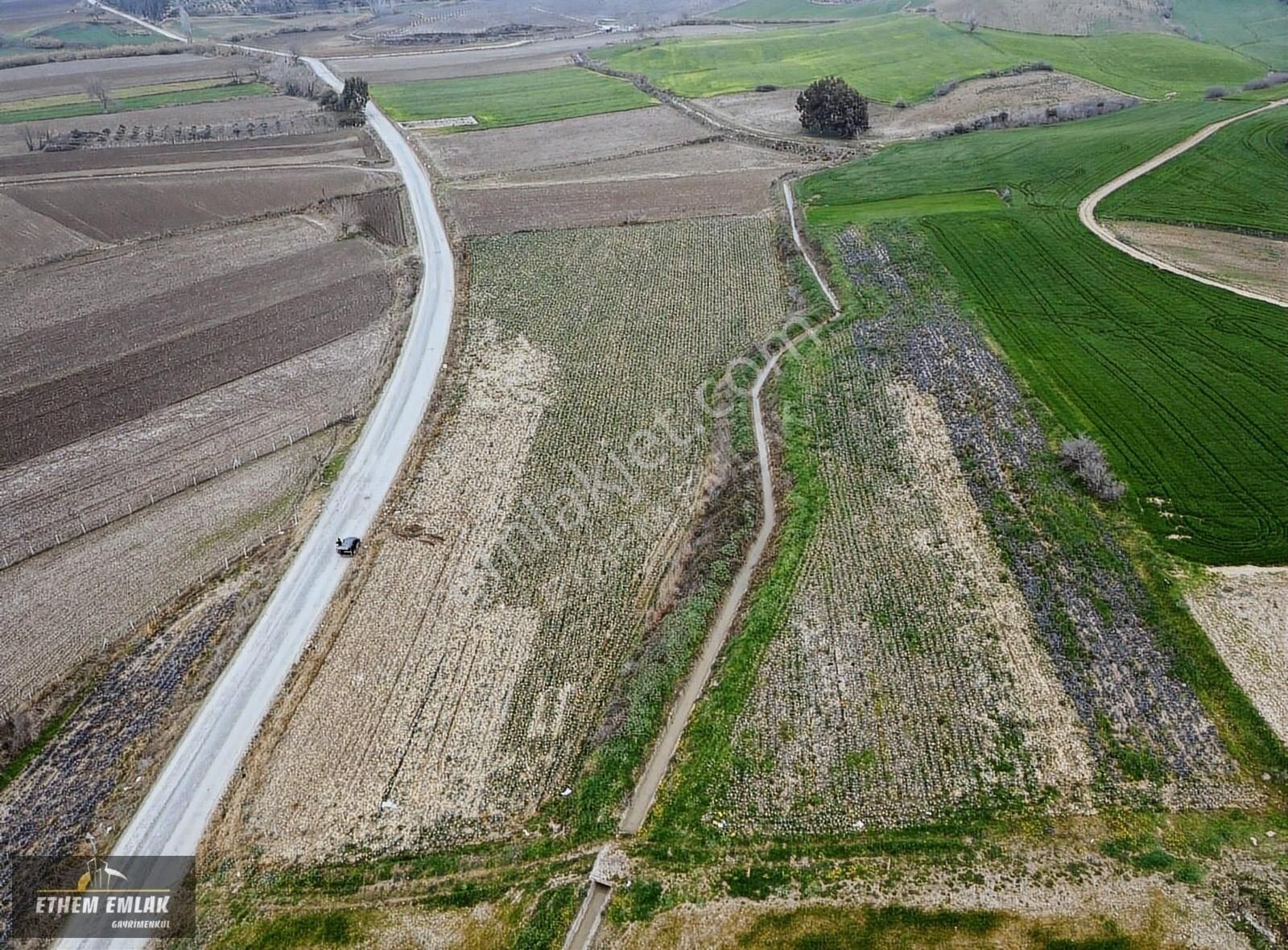 Çukurova Kocatepe Satılık Tarla ADANA ÇUKUROVA KOCATEPE MAHALLESİNDE SATILIK HİSSE