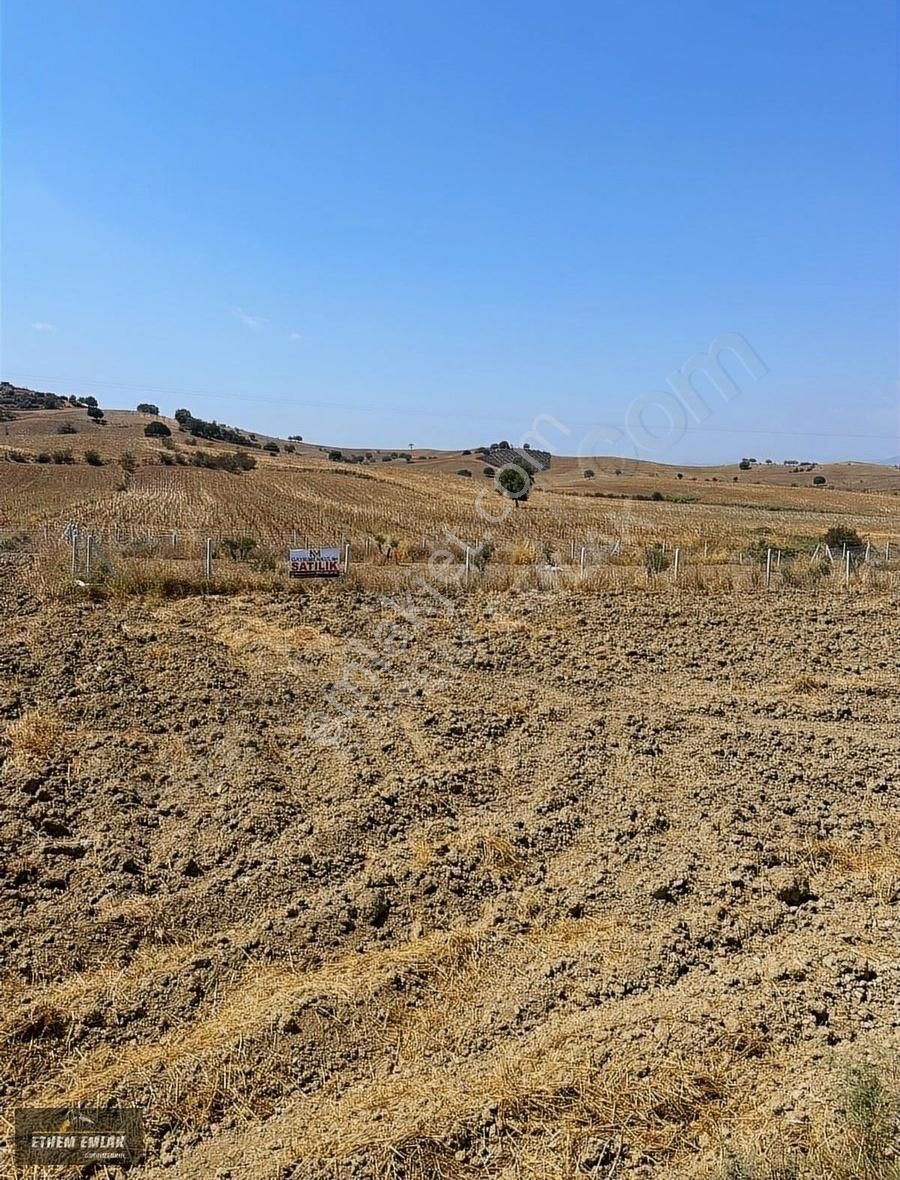 Karaisalı Kuzgun Satılık Tarla ADANA SALBAŞ KUZGUNDA YOL KENARI SATILIK