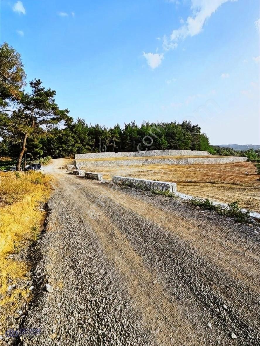 Menderes Yeniköy Satılık Tarla MENDERES YENİKÖY DE 240 M2 TAŞ DUVARLI BAHÇELER