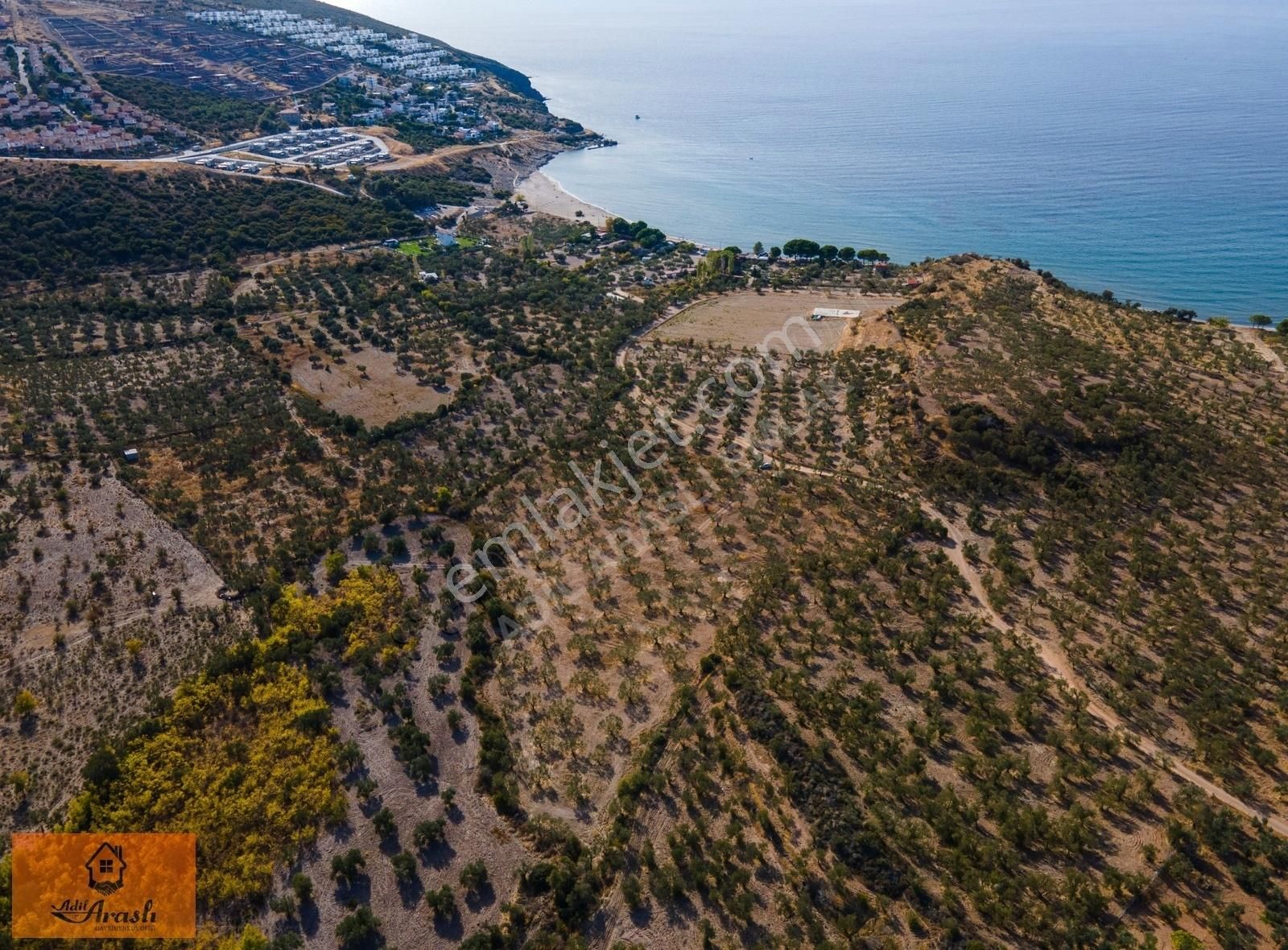 Ayvacık Babakale Köyü (Akliman) Satılık Zeytinlik Çanakkale Ayvacık Babakale'de Midilli Manzaralı Zeytinlik