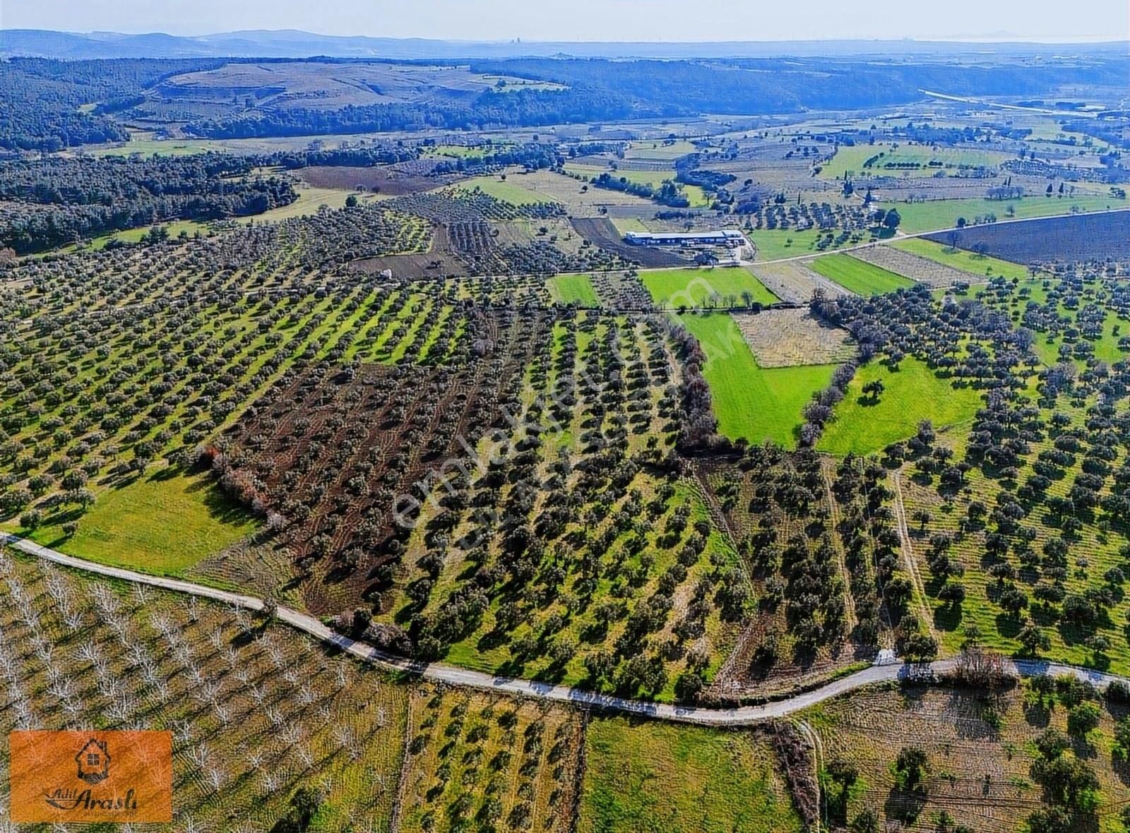 Çanakkale Dümrek Köyünde Kadastral Yola Cepheli Tarla - Görsel 17
