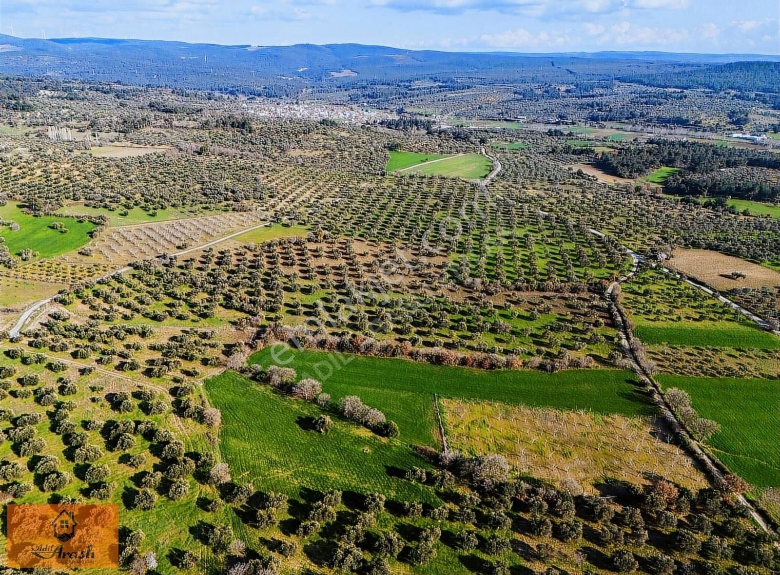 Çanakkale Dümrek Köyünde Kadastral Yola Cepheli Tarla - Görsel 20