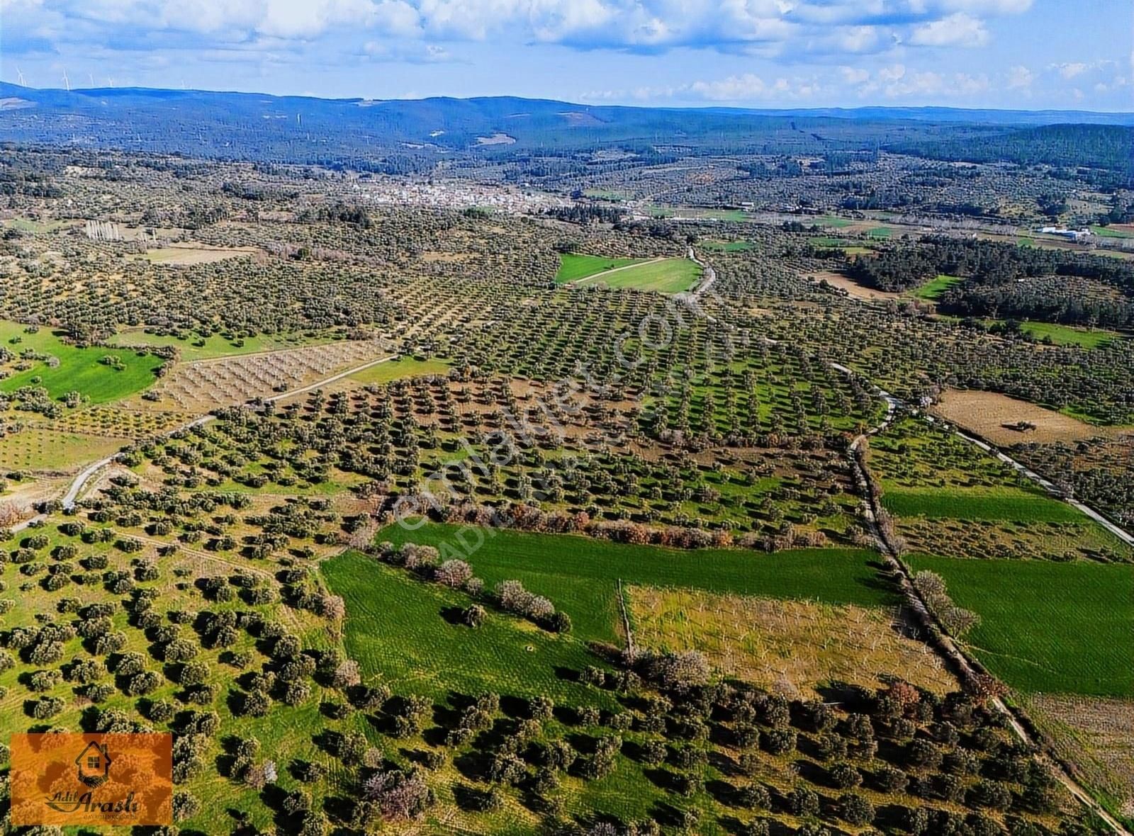 Çanakkale Dümrek Köyünde Kadastral Yola Cepheli Tarla - Görsel 15