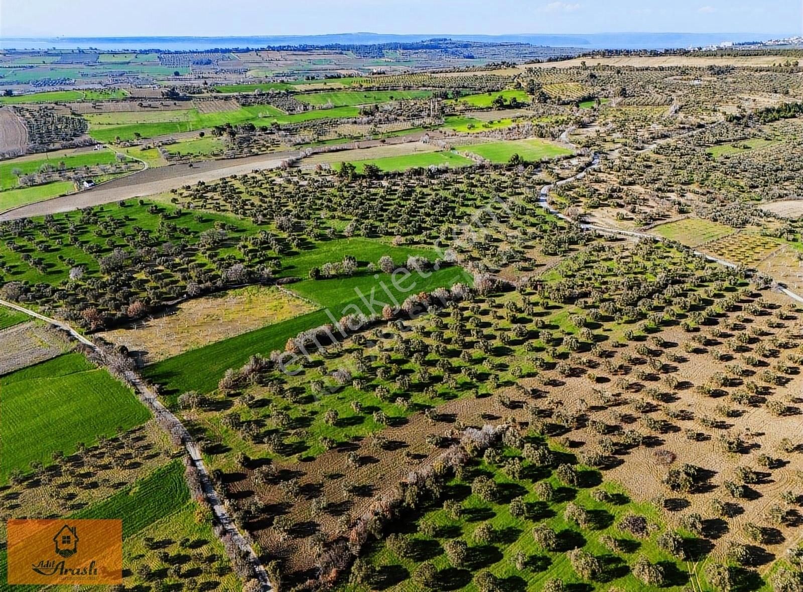 Çanakkale Dümrek Köyünde Kadastral Yola Cepheli Tarla - Görsel 5