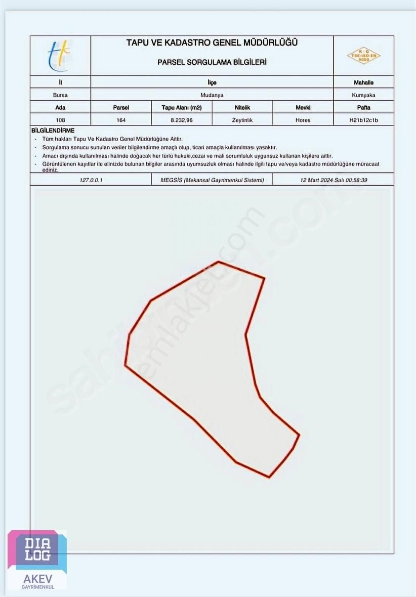 Mudanya Kumyaka Satılık Zeytinlik DİALOG AKEV'DEN MUDANYA KUMYAKA SATILIK TARLA