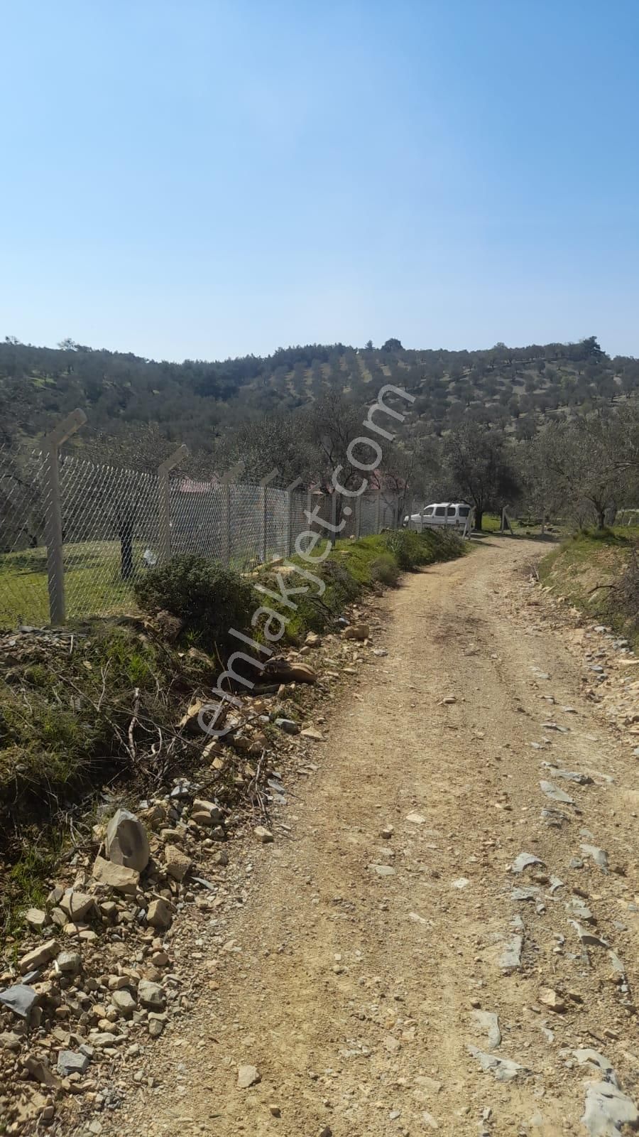 Burhaniye Şarköy'de Satılık Zeytinlik - Görsel 30