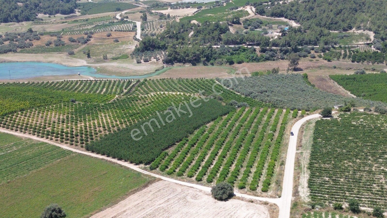 Tarsus Akçakocalı Satılık Bağ & Bahçe Ra Gayrimenkul Akçakocalı Mevkii Satılık Limon Ve Kayısı Bahçesi