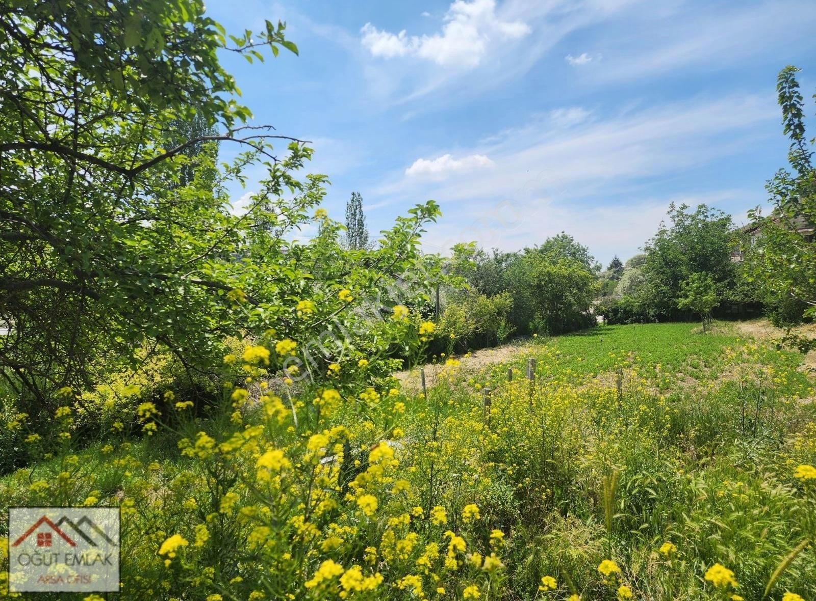 Lalahan Merkeze Yakın İçinde Yapı Olan 2526m Arsa. - Görsel 8