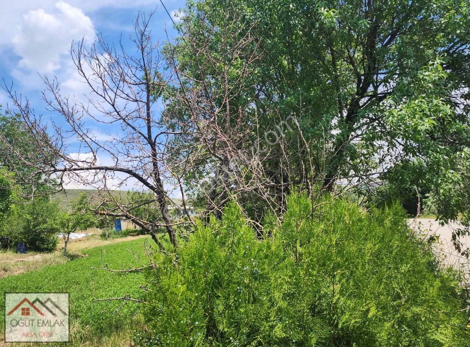 Lalahan Merkeze Yakın İçinde Yapı Olan 2526m Arsa. - Görsel 6